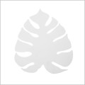 Monstera White 1354 biały kinkiet metalowy LED 12W TK Lighting