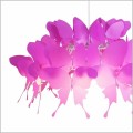 abażur z różowych motyli lampa wisząca Farfalla Light Prestige LP 3439/1P dark pink