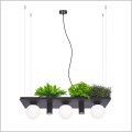 nowoczesna czarna lampa wisząca Plant Shelf ZumaLine 5555