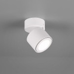 TAURUS reflektor LED do stropu i do sufitów podwieszonych Trio Lighting