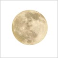 kinkiet LED 24W 2000lm LUNA  Light Prestige 1106/1C